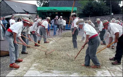 Avant l'arrivée des batteuses mécaniques quel outil permettait de séparer le grain de la tige ?