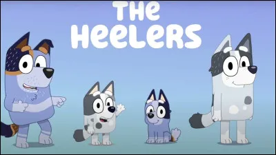 Comment s'appellent les deux cousines de Bluey ?