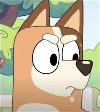 Comment s'appelle la mère de Bluey ?