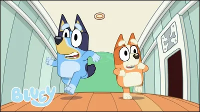 Comment s'appelle la sur de Bluey ?