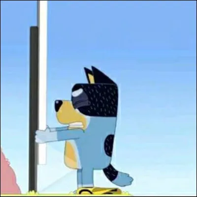 Comment s'appelle le père de Bluey ?