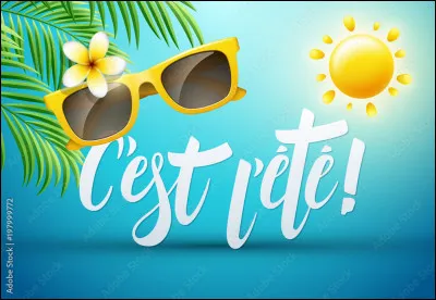 Lautoroute A6 est surnommée "Autoroute de lÉté".