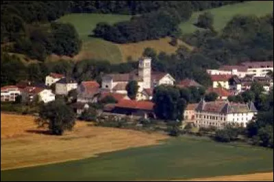 Pour finir, je vous attends à Viry. Commune de l'arrondissement de Saint-Julien-en-Genevois, elle se situe dans le département ...