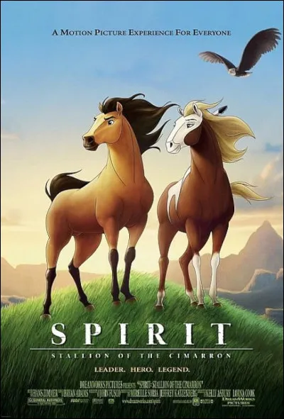 Comment s'appellent ces 2 beaux chevaux ?