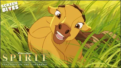 De quelle couleur est Spirit ?