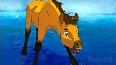 &Agrave; part Spirit, combien de poulains voit-on au d&eacute;but ?