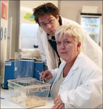 Dans "Les Bronzés 3", il joue un homme qui avoue son homosexualité à son père. Qui est cet acteur ?