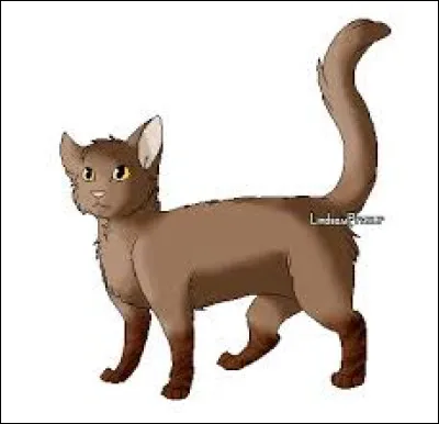 C'est Nageoire Agile qui devient le compagnon de Branche Fleurie, et la suit lorsqu'elle retourne au Clan du Tonnerre :