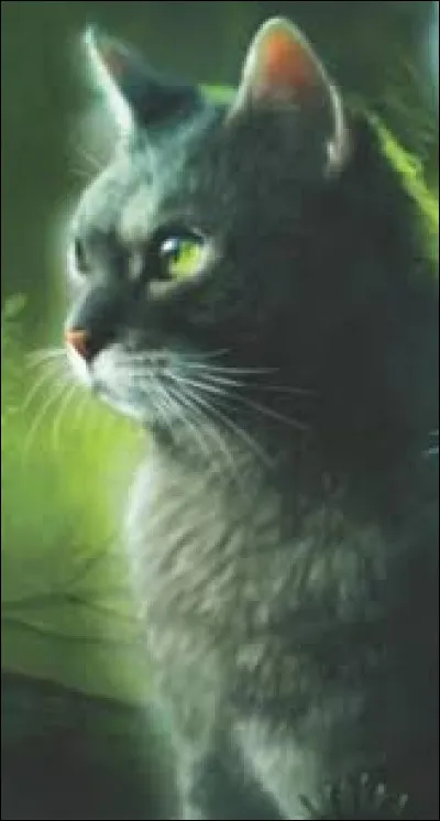 Écho d'Argent, à la fin du hors-série ''Le voyage d'Aile de Faucon'', a vu dans son rêve le fils d'Aile de Faucon :