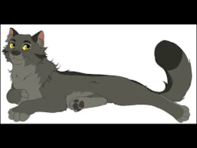 ''Graystripe's Vow'' est le premier hors-série raconté par le point de vue d'un ancien :