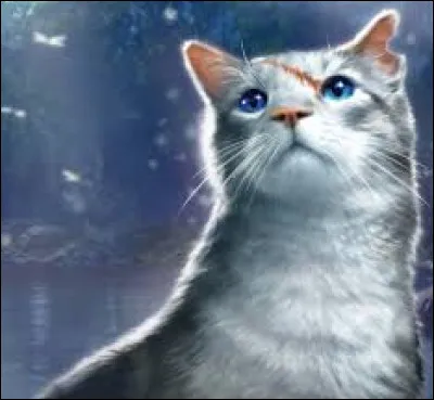 Le nom anglais de Feuille de Lis, Ivypool, est en l'honneur de la fille d'une des autrices, Ivy :