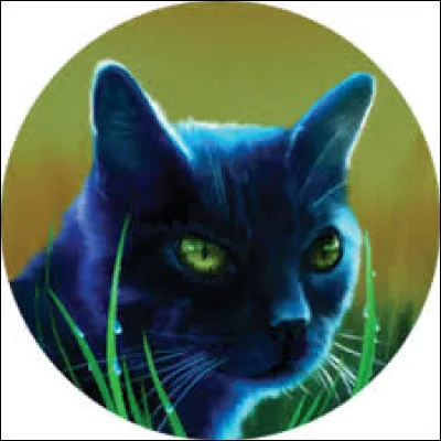 Nuage de Jais meurt-il lors du livre 1 du cycle 2 ?