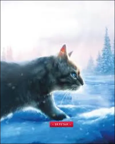 Ciel Bleu (Étoile du Ciel) meurt en sauvant sa petite-fille d'un chien :