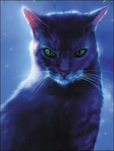 ''Shadowstar's Life'' raconte l'enfance d'Ombre Noire (Étoile de l'Ombre) :