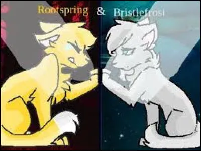 Soie de Gel est une descendante d'Étoile de Feu :