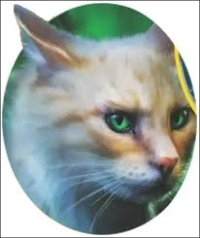 C'est Truffe de Bourgeon, la sur d'Aile de Faucon, qui se perdra lors du voyage du Clan du Ciel jusqu'au lac, car elle a mis du temps à sortir d'un monstre pour attraper un oiseau de bipèdes ?