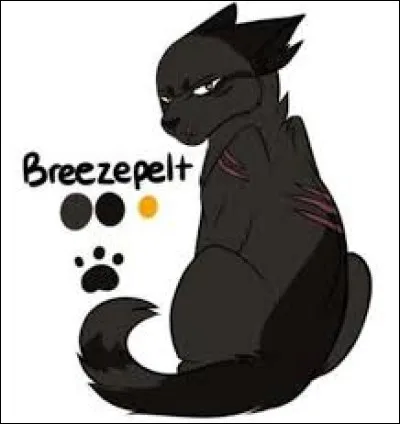 Pelage de Brume est le père de Plume Tachetée :