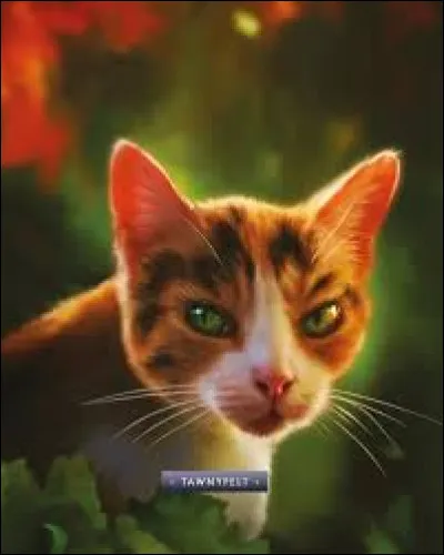 Pelage d'Or est la fille de Étoile du Tigre (1) et Sacha :