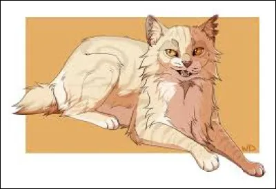 Truffe de Sureau meurt-il ?