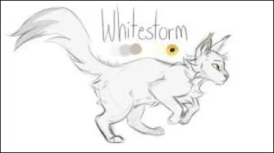 Tornade Blanche est le neveu d'Étoile Bleue :