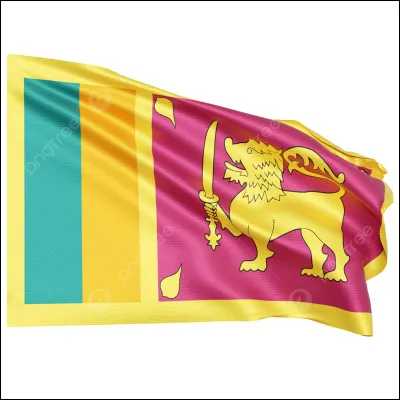 Ce drapeau est celui...