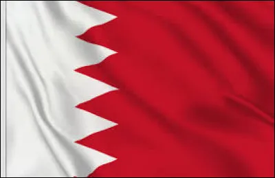 Ce drapeau est celui...