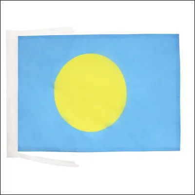 Ce drapeau est celui...