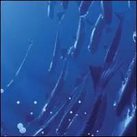 Quel film a gagn l'Oscar en 2004 ?