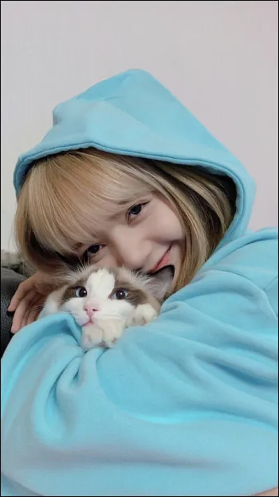 C'est une fanatique de chats :