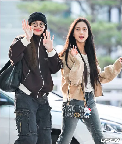 Elle est allergique aux chiens et aux chats :