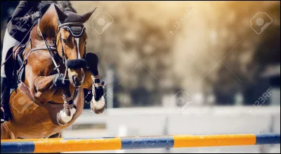 Comment s'appelle le premier cheval de Pierre ?