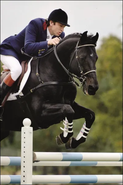 Jappeloup se blesse sur un obstacle pourquoi ?