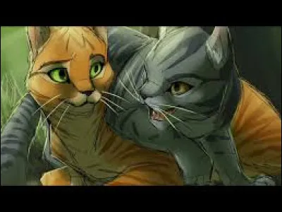 Cœur de Feu et Plume Grise sont meilleurs amis.