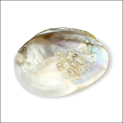 Quel est le nom du revêtement aux reflets irisés de certaines coquilles de mollusque ou qui entoure les perles ?