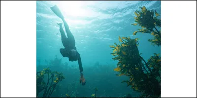 Dans quel pays de l'Asie de l'Est peut-on voir les ''ama'' surnomm&eacute;es les ''les p&ecirc;cheuses de perles'' ?