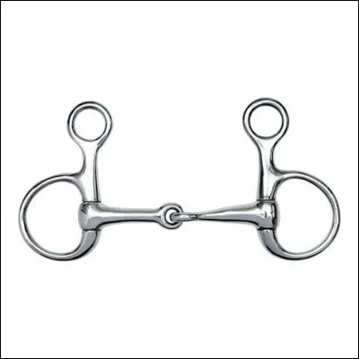 Quel est le nom de ce mors ?