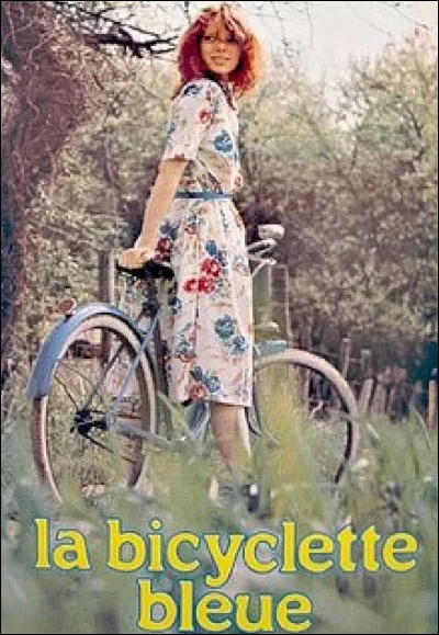 Quelle auteure a écrit le roman ''La Bicyclette bleue'' ?