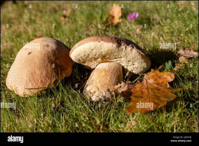 À son age, il est fixé.