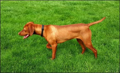 Font de la peine à des militaires.