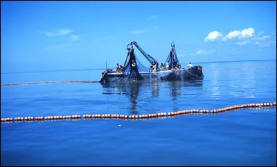 Arrive par jalousie.