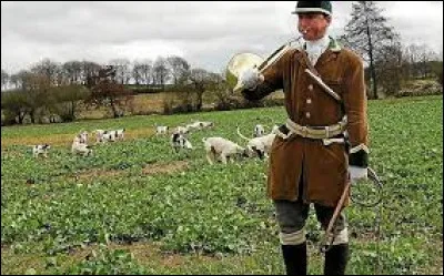 C'est bient&ocirc;t l'automne, la for&ecirc;t va faire du bruit inhabituel pour se faire entendre et pr&eacute;venir des dangers. Quel bruit &eacute;met-elle ?