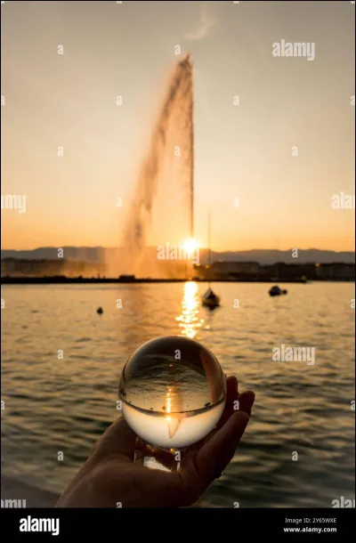 Quel est ton élément préféré ?