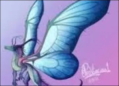 Aimes-tu les Ailes de Soie ?