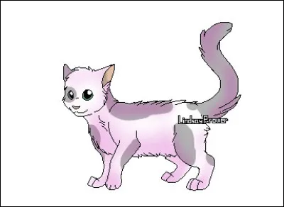 Qui dit : ''Il est absurde de dire que Pelage d'Or n'est pas fidèle. Je n'ai pas oublié ce que tous les chats de la Tribu ont fait pour nous, même si tu l'as oublié. Ils méritent notre aide.'' ?