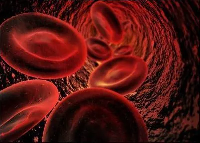 Le corps d'un homme adulte comporte environ :