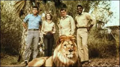 Dans la série "Daktari", comment se prénomme le lion qui louche ?