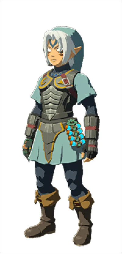 Quelle-est cette tenue ?