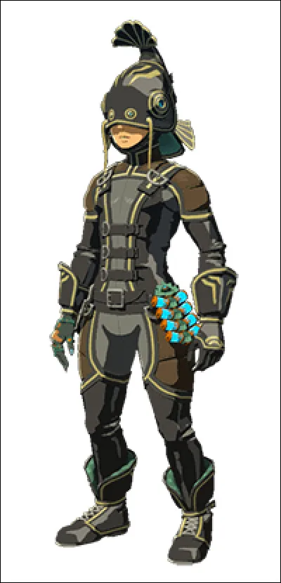 Quelle est cette tenue ?