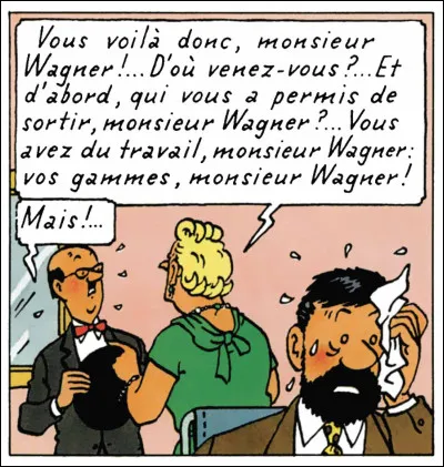 Dans les albums de Tintin, de quel instrument joue Wagner, musicien de la Castafiore ?