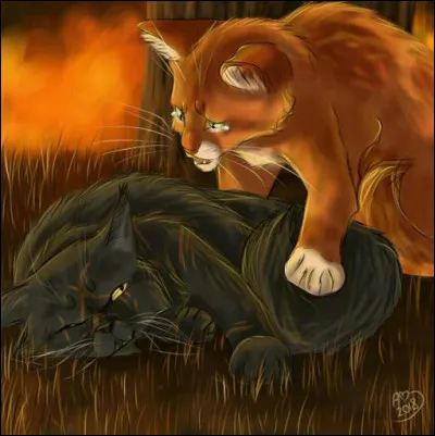 Parfois, aimerais-tu mourir ?